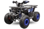 Preview: NITRO MOTORS 125cc midi Kinder Quad Rugby RS8-3G Platin